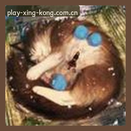 林妹